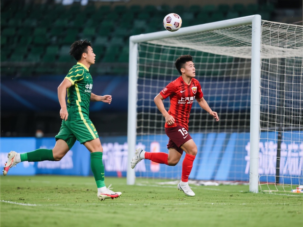 球迷的支持 球迷的支持